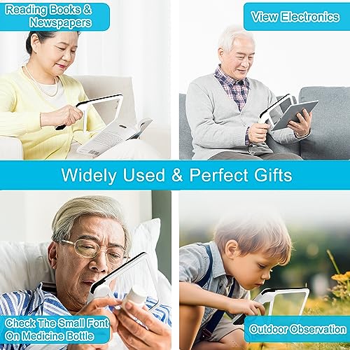 Magnifying Glass with Light, Folding Handheld 3X LED for Reading O568337