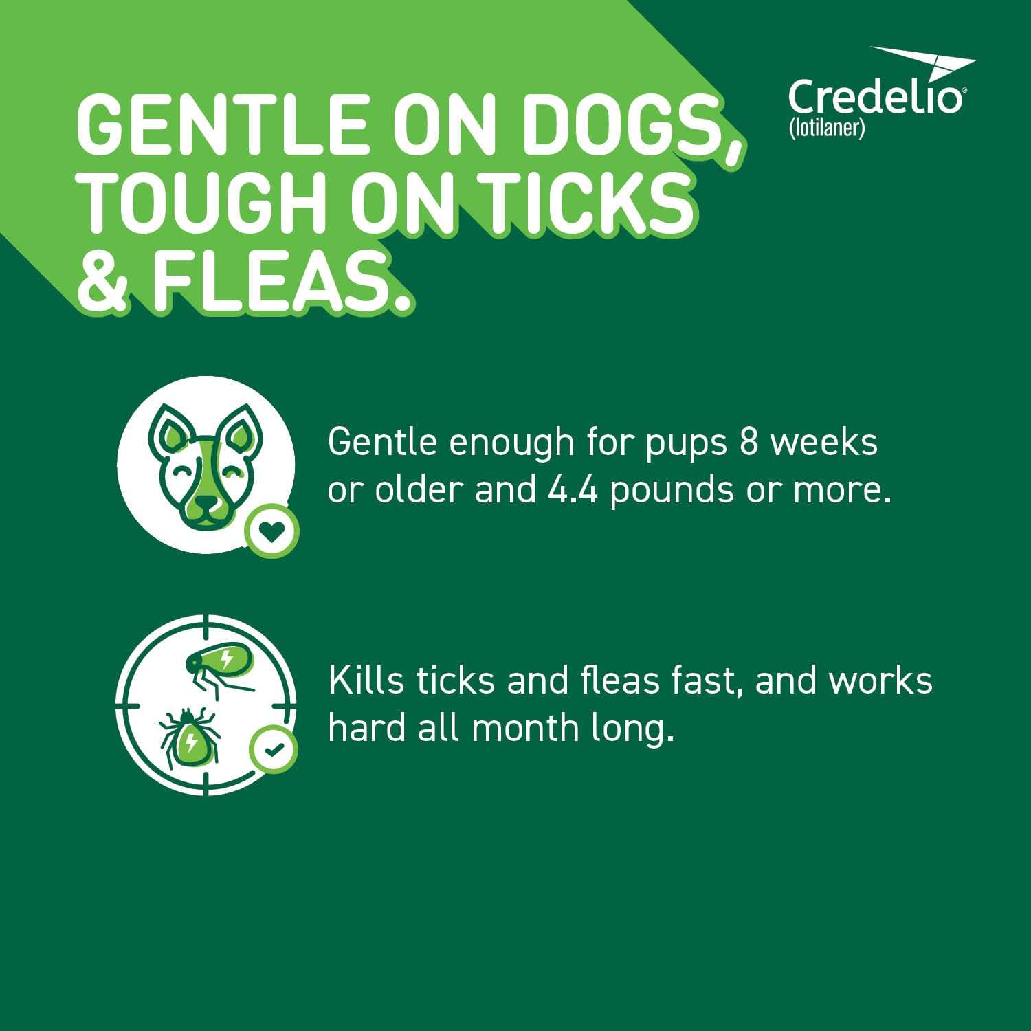 Chewable Tablet for Dogs 25.1-50 lbs R36913