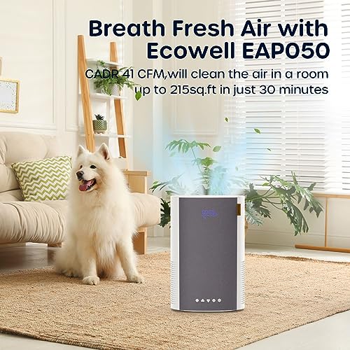 HEPA Air Purifier for Bedroom Home Large Room, Sleep Mode D23860