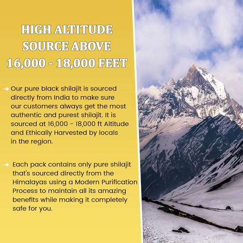 Pure Himalayan Shilajit Resin with Fulvic Acid, 10 Grams N8658