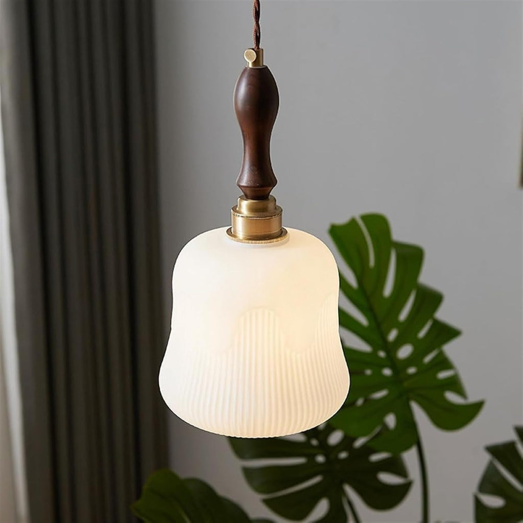 Hanging Light Fixture with Glass Shade, Brass Body, Adjustable Rope M912