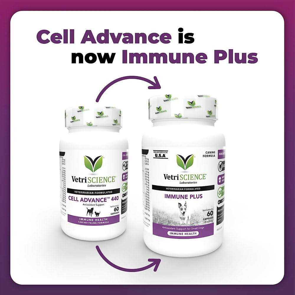 Immune Support Supplement for Small Dogs M43789