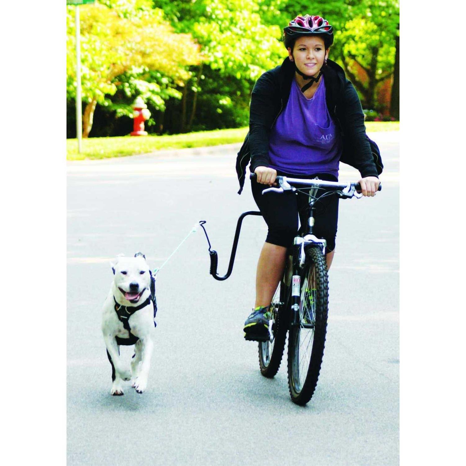 Hands Free Dog Leash Bike Attachment Kit for Running O9761