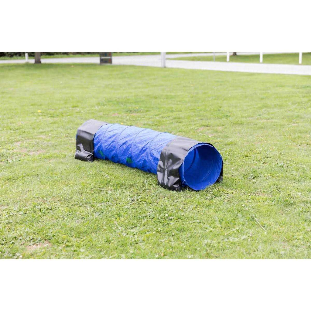 Agility Tunnel for Pets S548