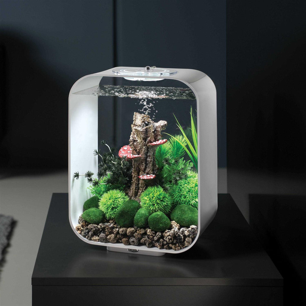 Aquarium with MCR Light G917223
