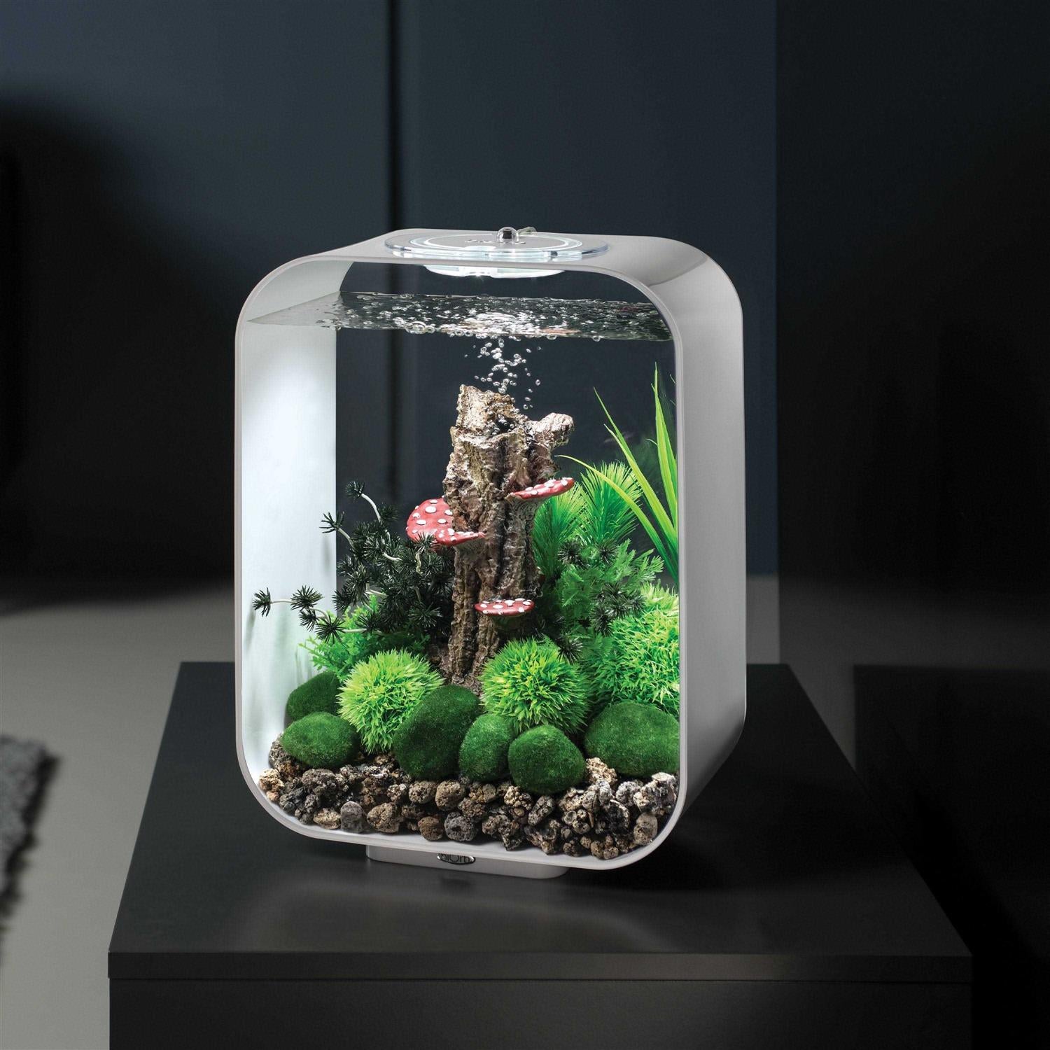 Aquarium with MCR Light G917223