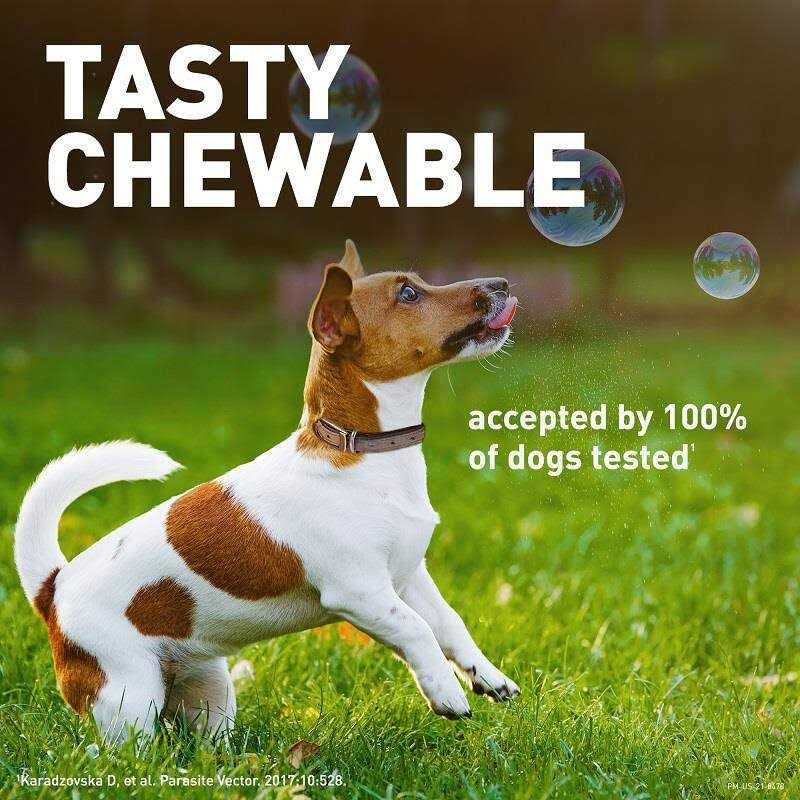 Chewable Tablet for Dogs 25.1-50 lbs R36913