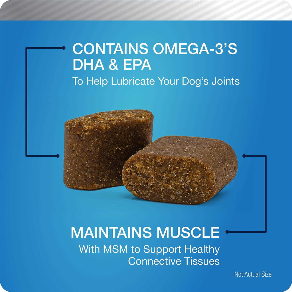 Hip and Joint Supplement for Dogs Chicken Flavored Soft Chews M876510