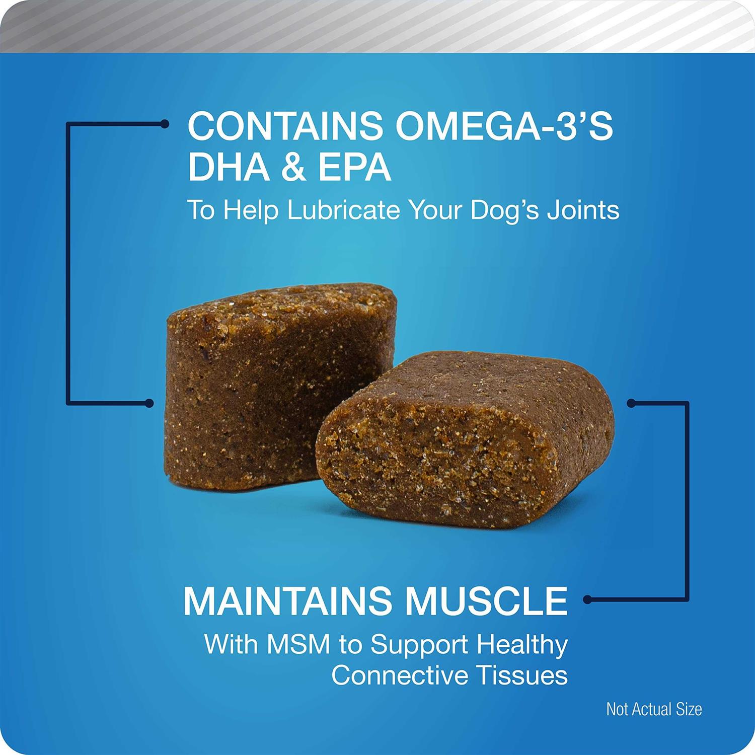 Hip and Joint Supplement for Dogs Chicken Flavored Soft Chews M876510