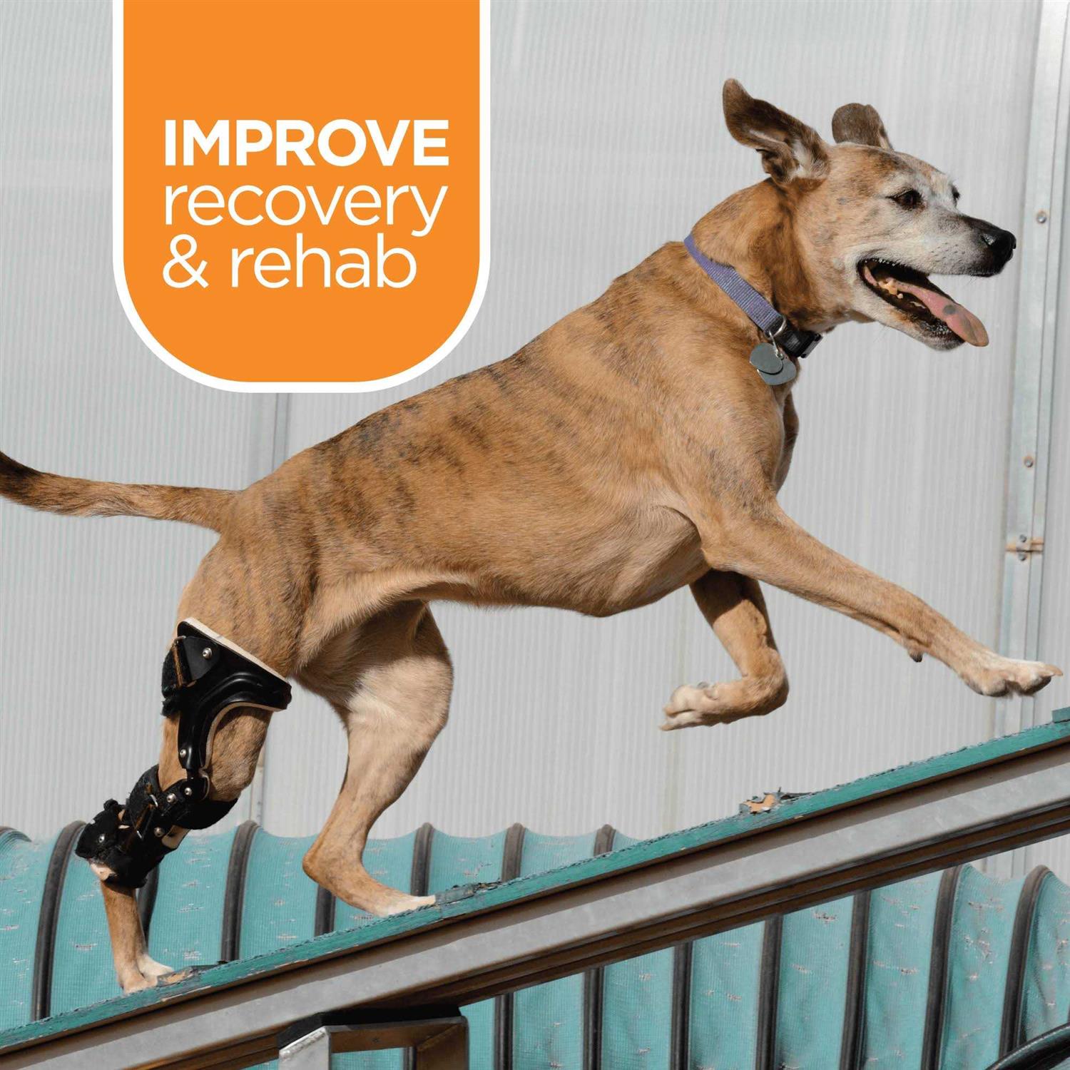 Muscle Relief for Dogs 3 oz O123995