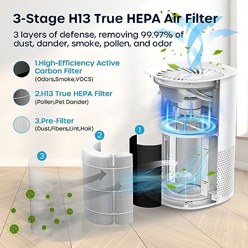 HEPA Air Purifier for Bedroom Home Large Room, Sleep Mode D23860
