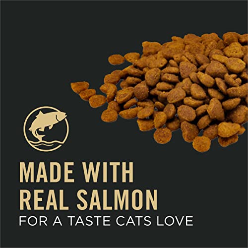 Senior Cat Food Salmon and Rice Formula Dry, 5 lb. Bag L2180