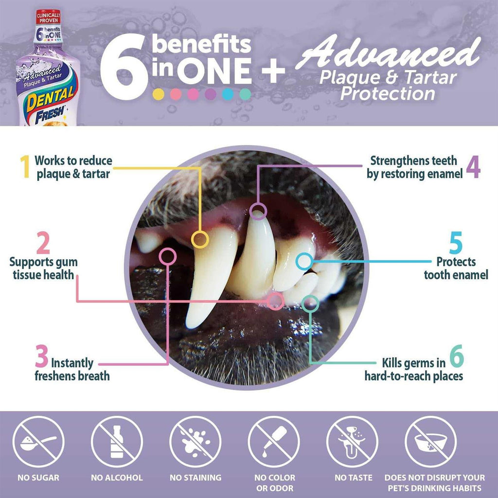 Dental Water Additive for Dogs G66157