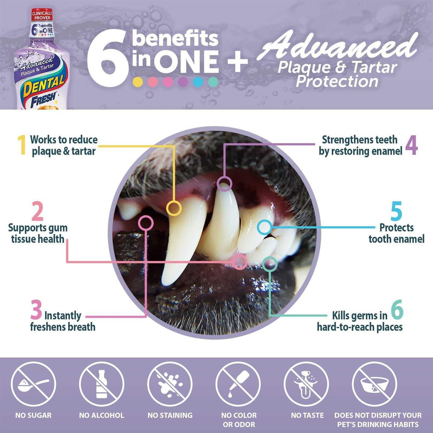 Dental Water Additive for Dogs G66157