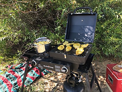 Stainless Steel 2 Burner Portable Gas Grill and Griddle Combo A75421
