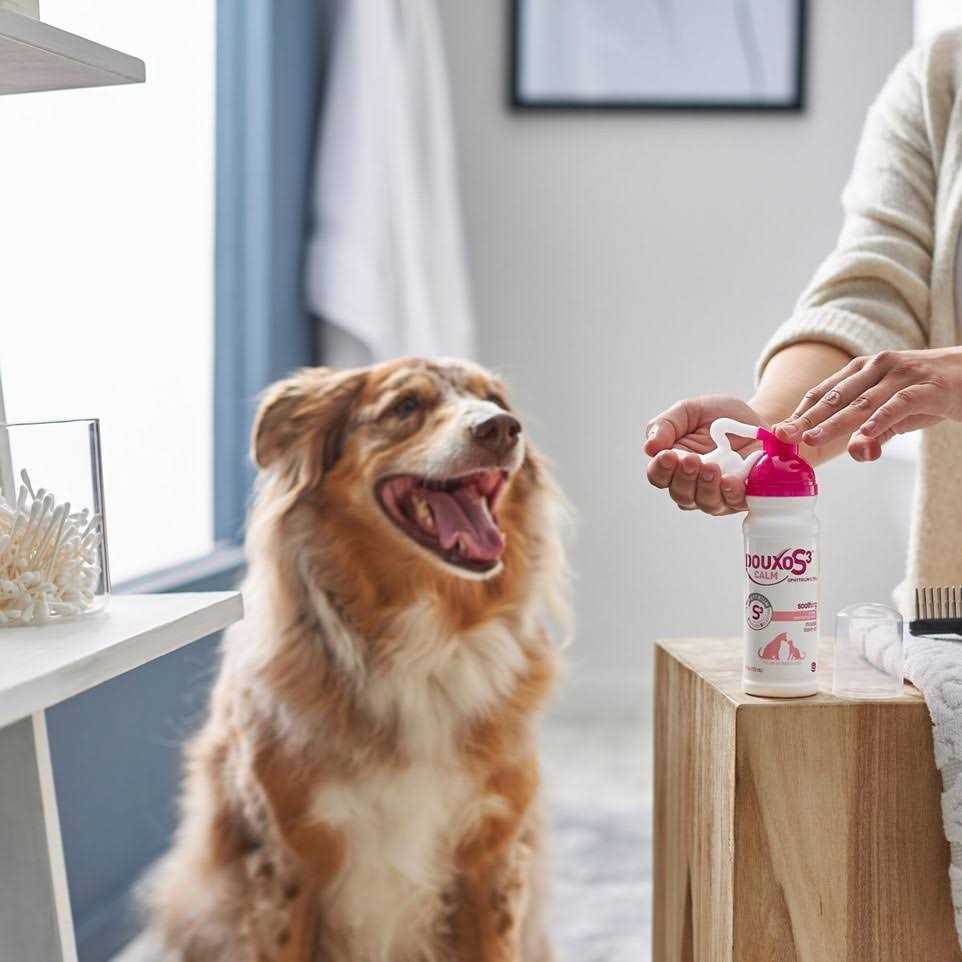 Calm Mousse for Pets M3761