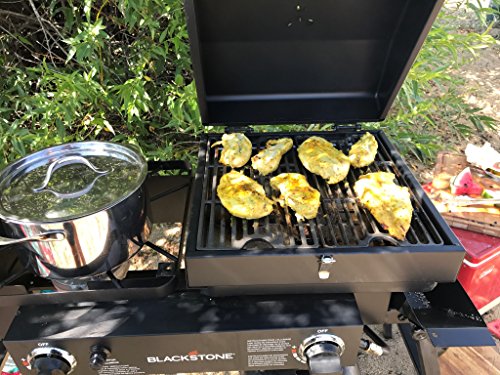 Stainless Steel 2 Burner Portable Gas Grill and Griddle Combo A75421