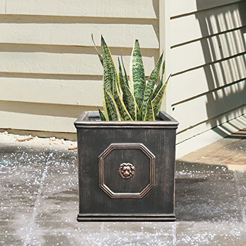 Square Lion Head Concrete Planter with Drainage Hole, 10.2" Antique Gray F955