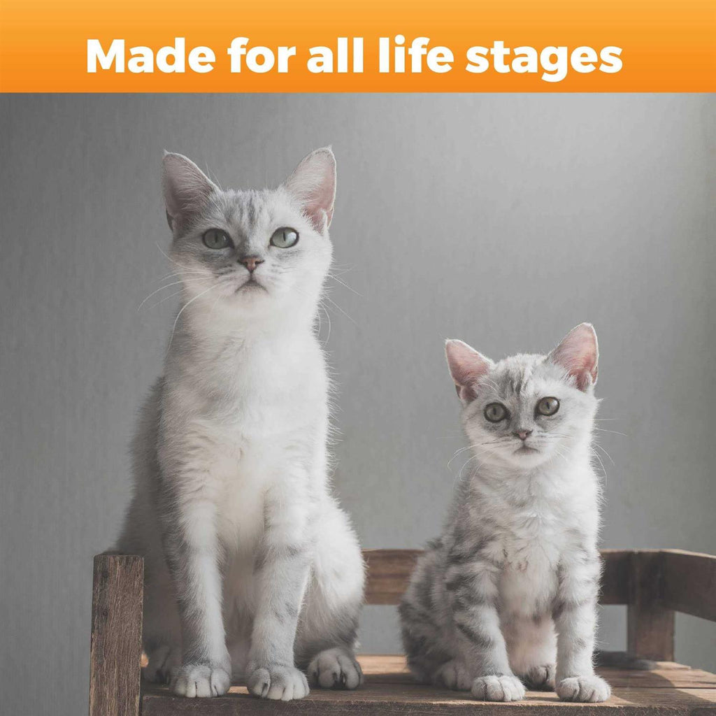 Hip & Joint Support for Cats Q771