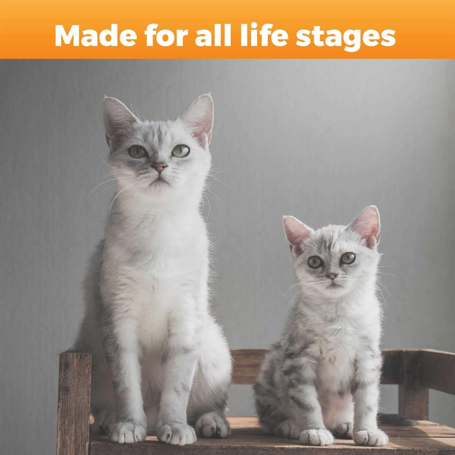 Hip & Joint Support for Cats Q771