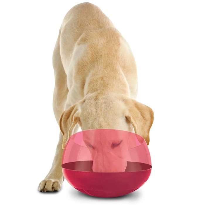 Rocking Slow Feeder Dog Bowl M9418