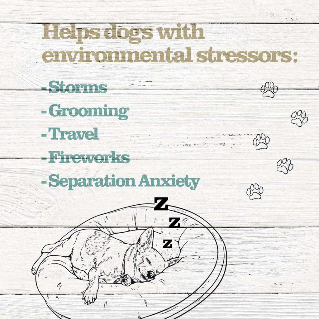 Calming Treats for Dogs N988
