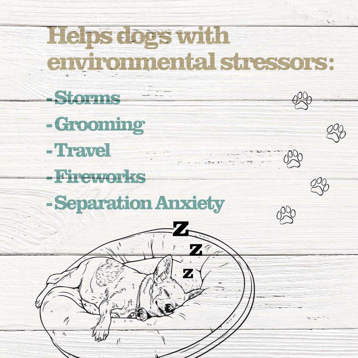 Calming Treats for Dogs N988