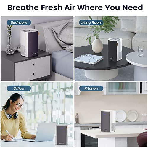 HEPA Air Purifier for Bedroom Home Large Room, Sleep Mode D23860
