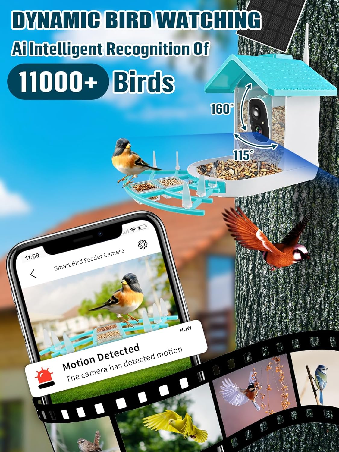 Smart Bird Feeder with Camera, Solar Powered Dual Charge, 1080P HD Video G11942