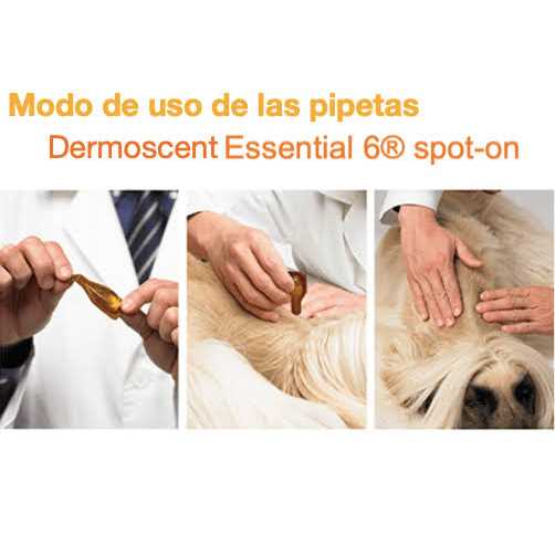 Essential 6 Spot-On for Dogs G90237