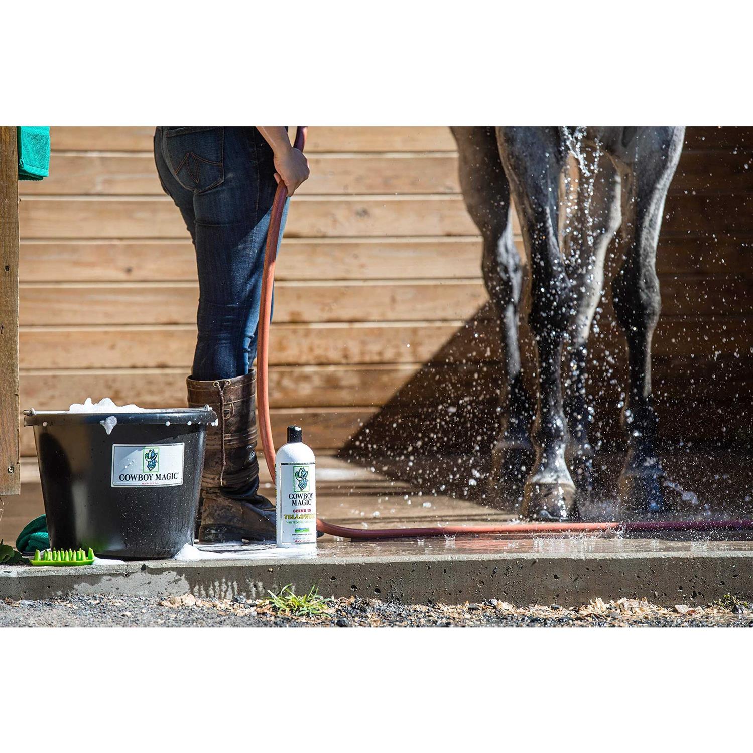 Yellowout Shampoo for Pets C102