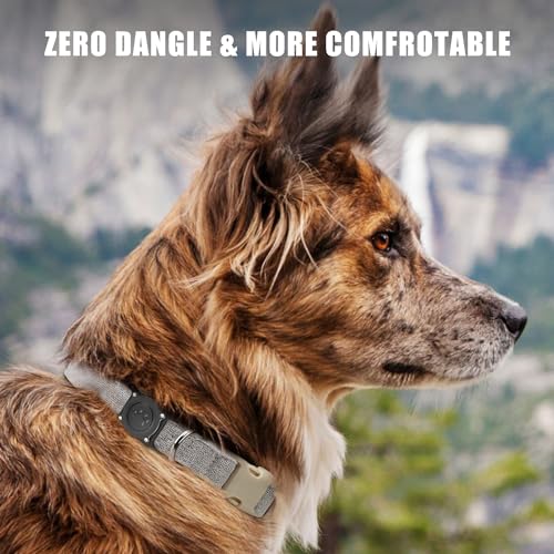 Dog Collar Holder with Waterproof Case for Pets W6965