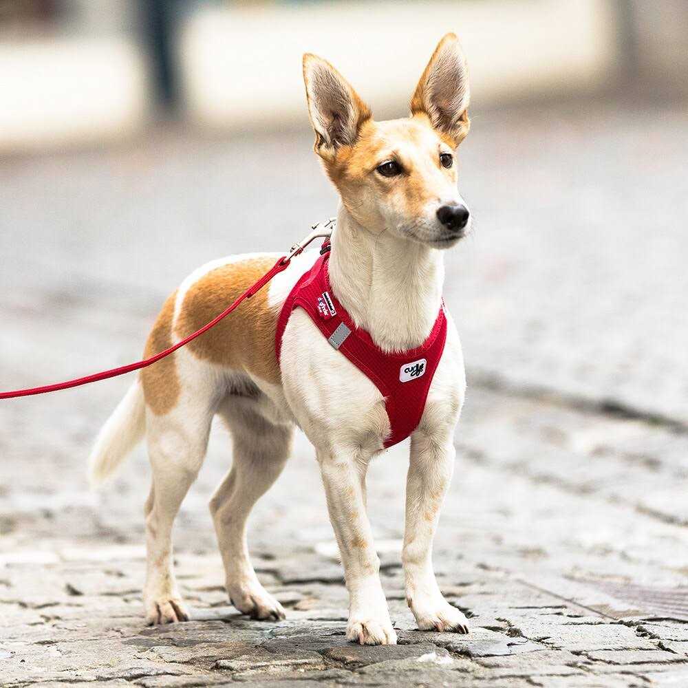 Air-Mesh Vest Dog Harness I843642