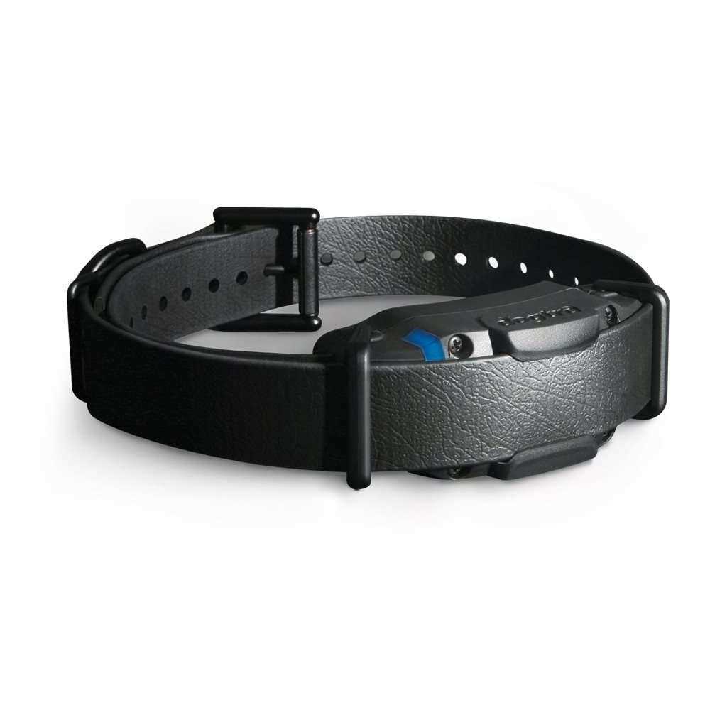 Remote Trainer for Dogs, 1 Mile Range H432810