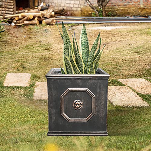 Square Lion Head Concrete Planter with Drainage Hole, 10.2" Antique Gray F955