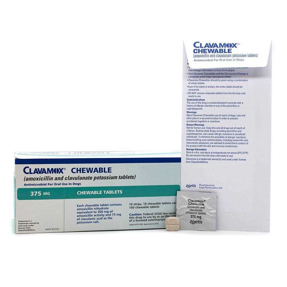Clavamox Chewable for Pets X505293