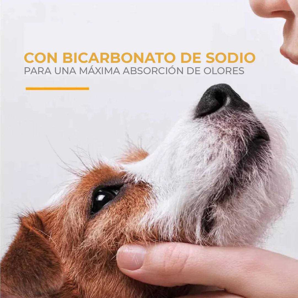 Deodorizing Pet Shampoo D716466