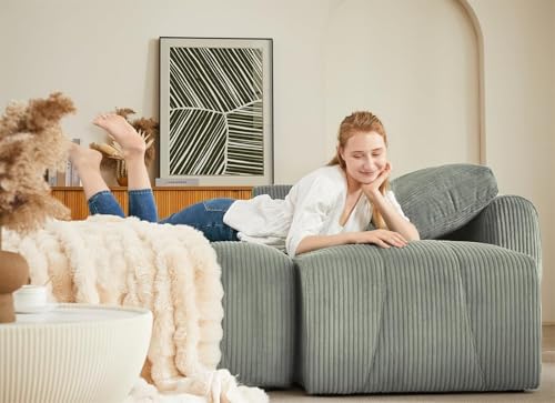 Modular Sectional Sleeper Sofa with Storage, Convertible L-Shape Couch, Light Grey Z72959