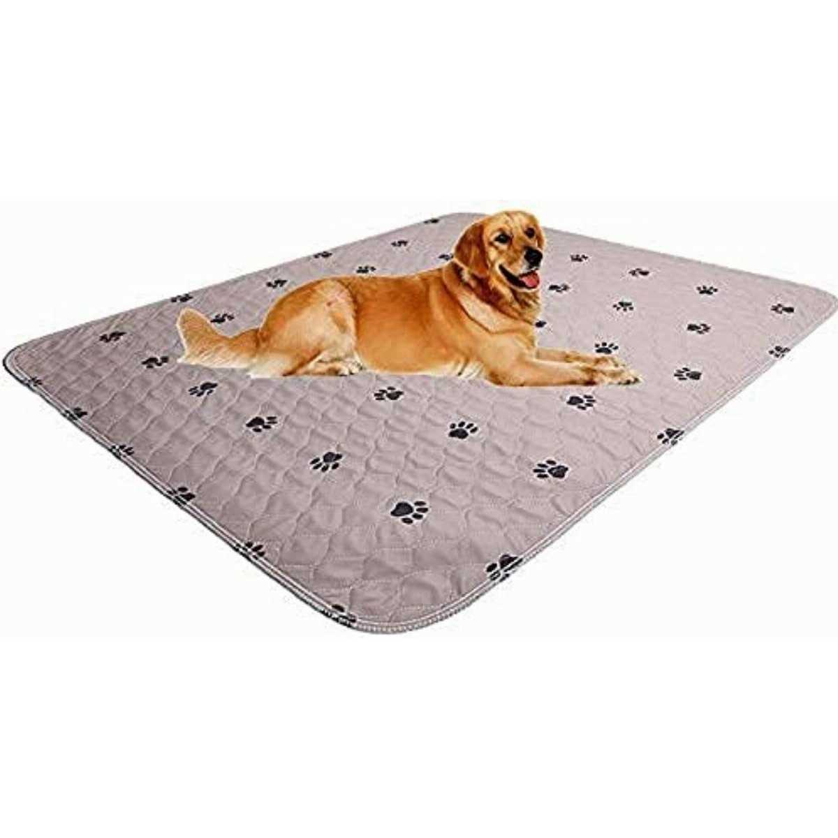 SincoPet Washable Dog Pee Pads with Puppy Grooming Gloves,Puppy Pads,Reusable Pet Training Pads,large Dog Pee Pad,Waterproof - Pet Supplies online store