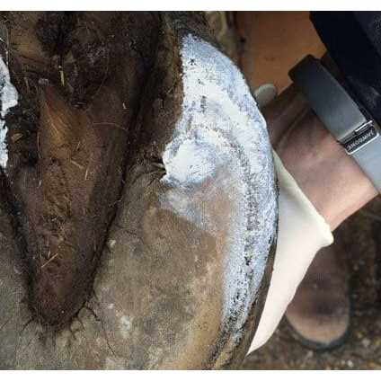 Hoof Clay 750g for Pets C190