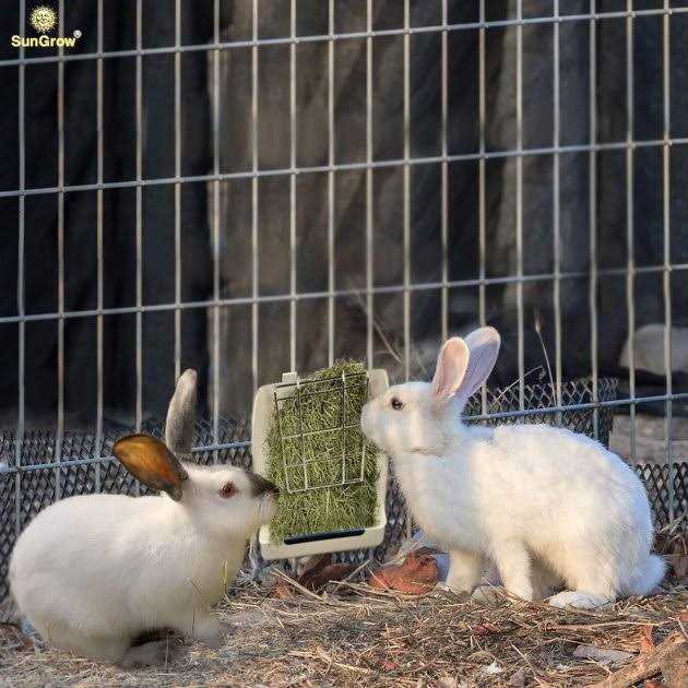 Rabbit & Guinea Pig Hay Feeder Rack Food Dispenser T277335