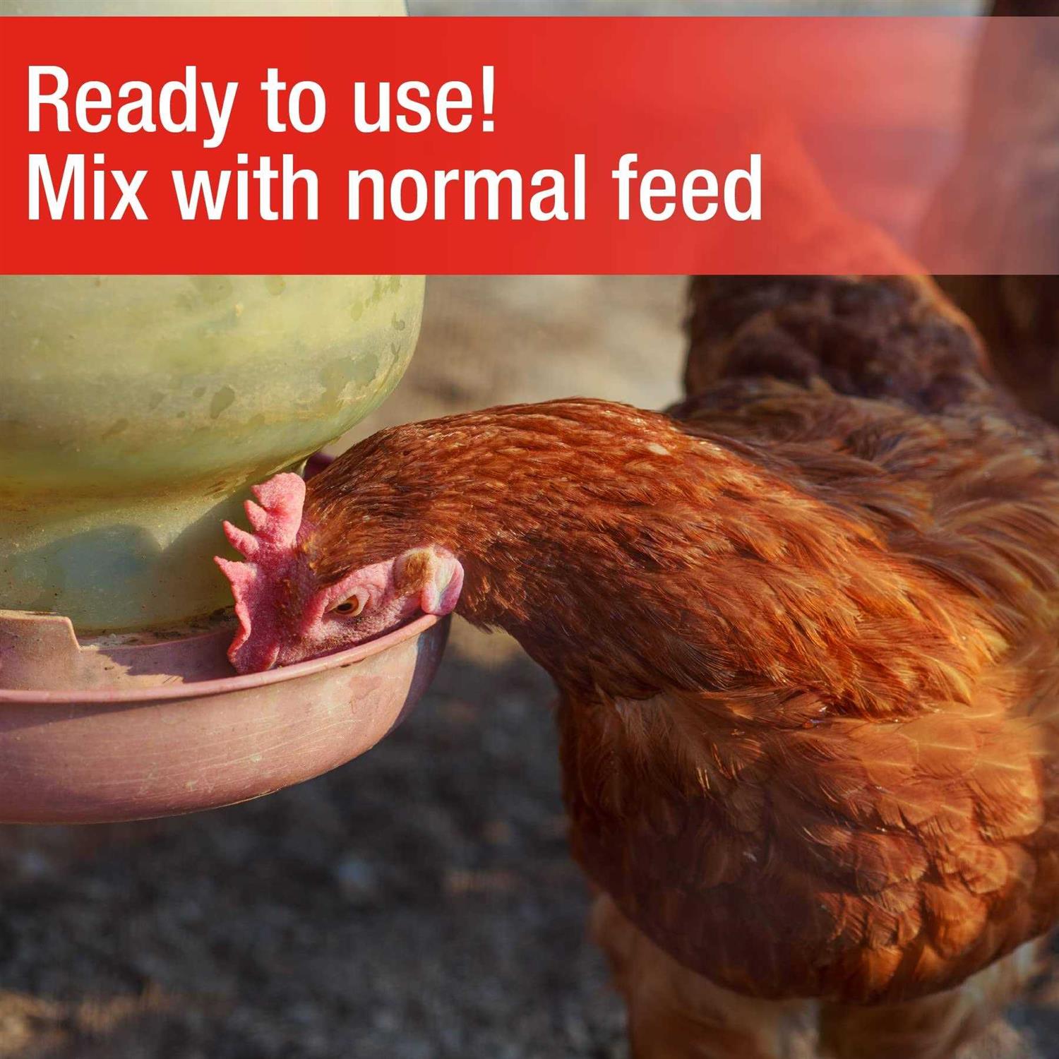 Poultry Grit for Chickens S968713