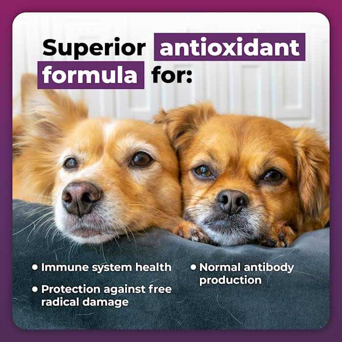 Immune Support Supplement for Small Dogs M43789
