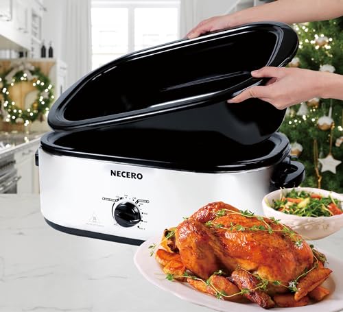 Electric Roaster Oven with Glass Lid and Removable Pan X813