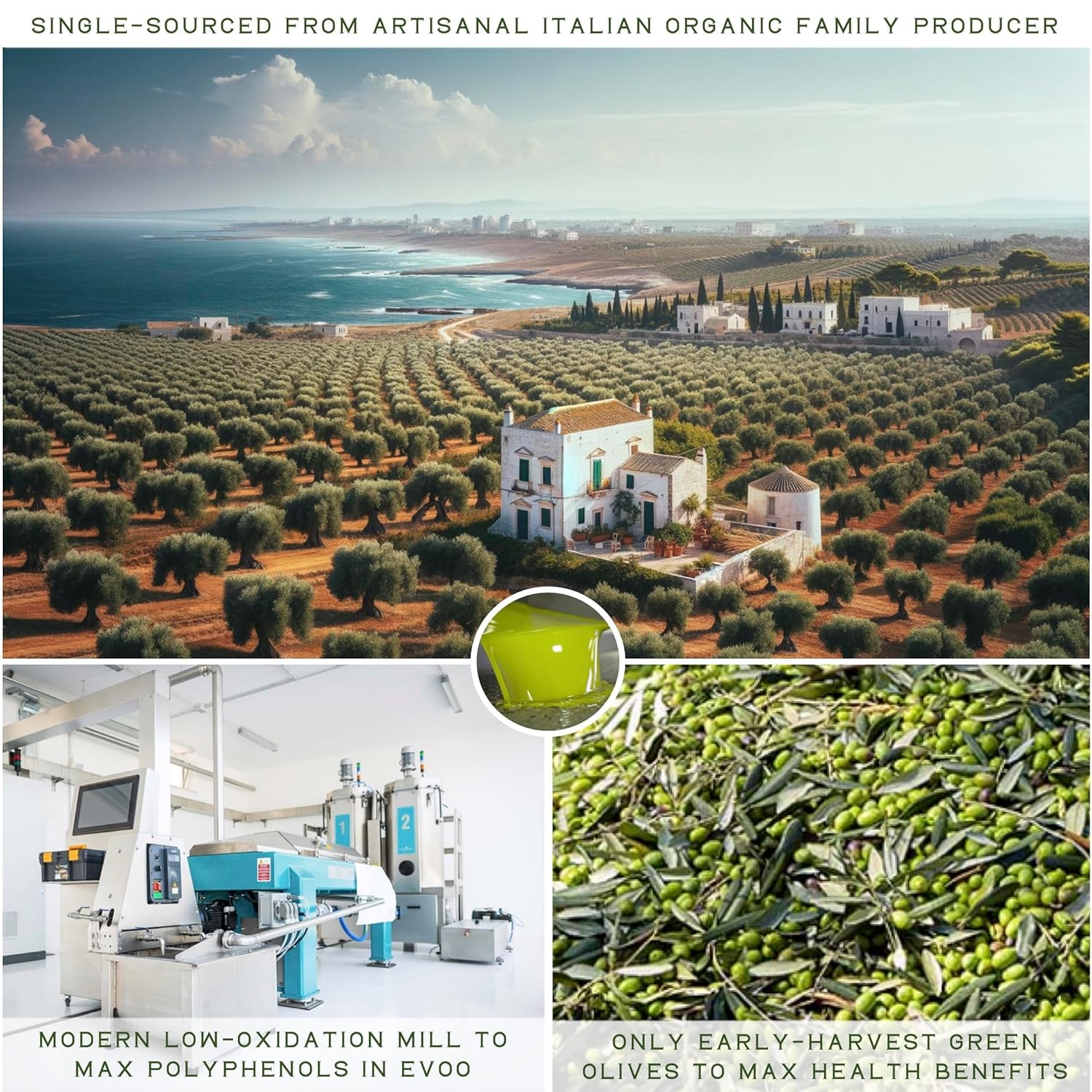 Extra Virgin Olive Oil, Organic, Early Harvest, 16.9 fl oz D835