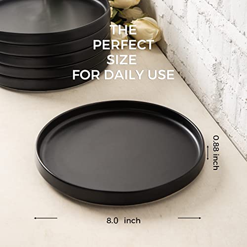 Ceramic Dinner Plates Set of 6, 10 Inch Matte Stoneware, Microwave and Dishwasher Safe L308327