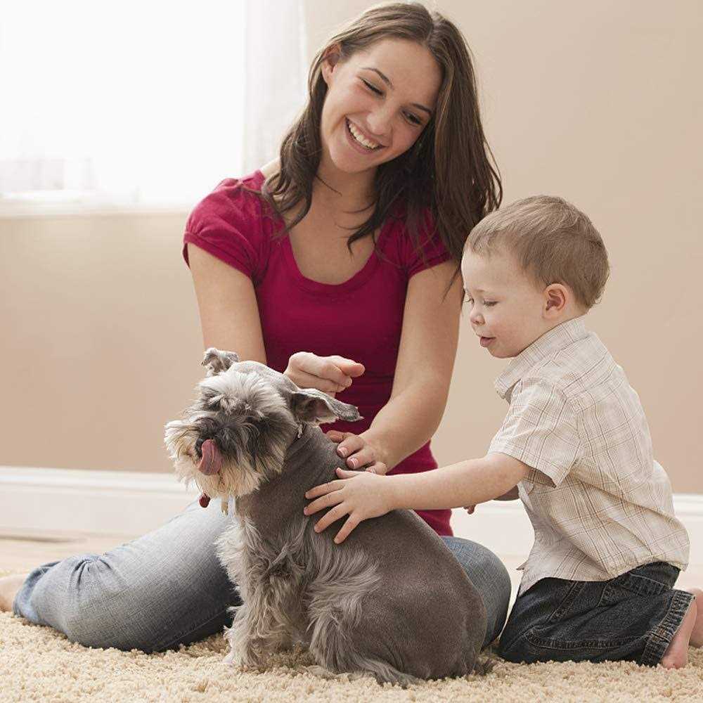 Folding Dog Stroller for Small Dogs & Cats with Cup Holder Y731027