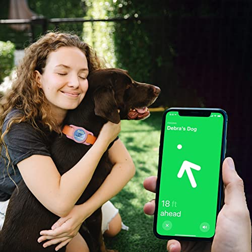 Silicone Dog Collar Holder for AirTag Tracker H6004
