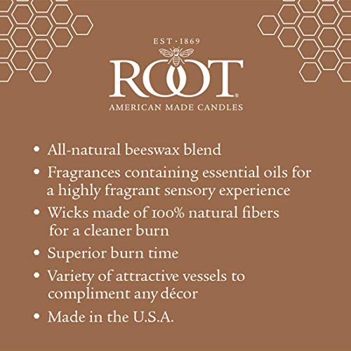 Citron & Bergamot Beeswax Blend Candle, 4 oz G354749