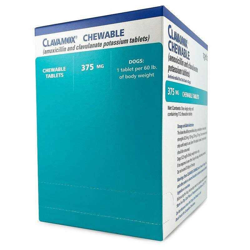 Clavamox Chewable for Pets X505293